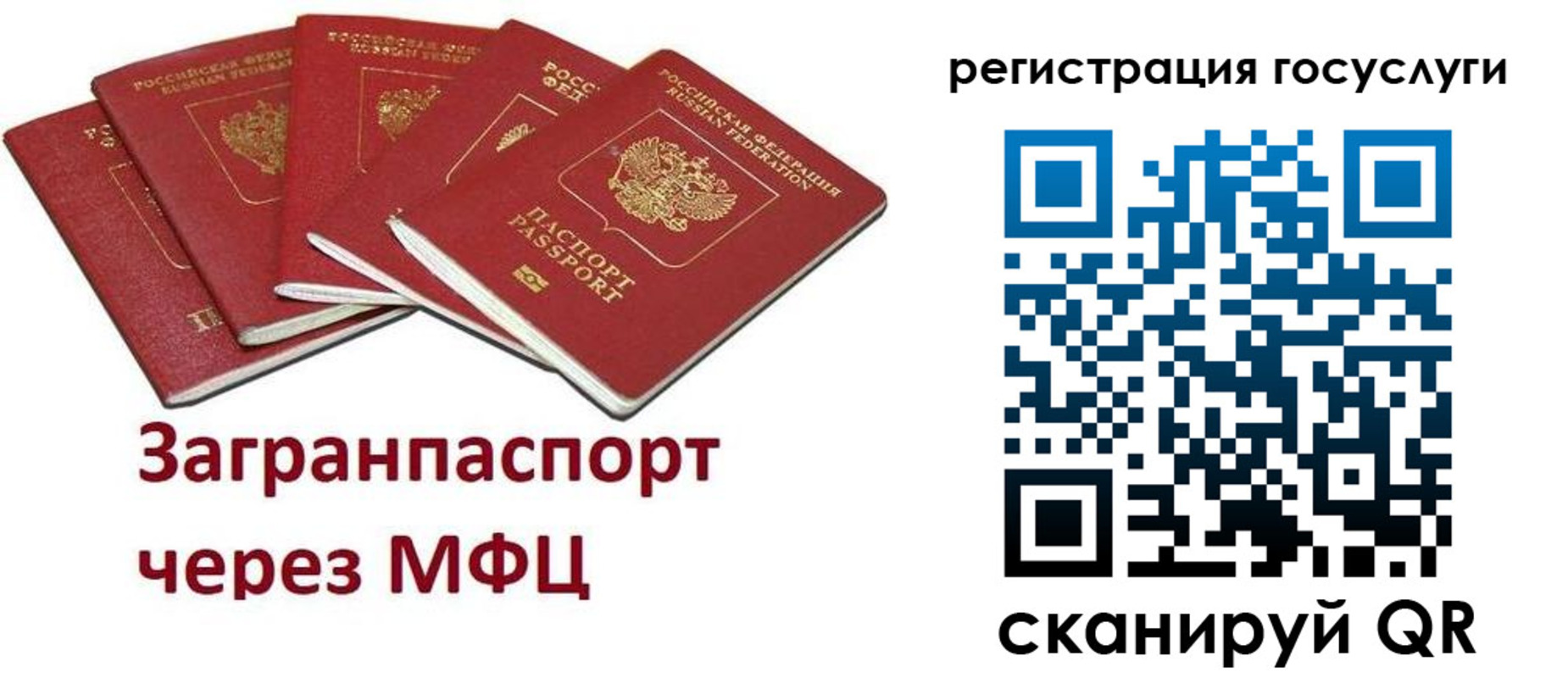 прописка 2025 в Видном
